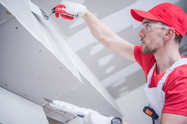 Best Water-Damaged Drywall Repair  in Lake Ridge, VA